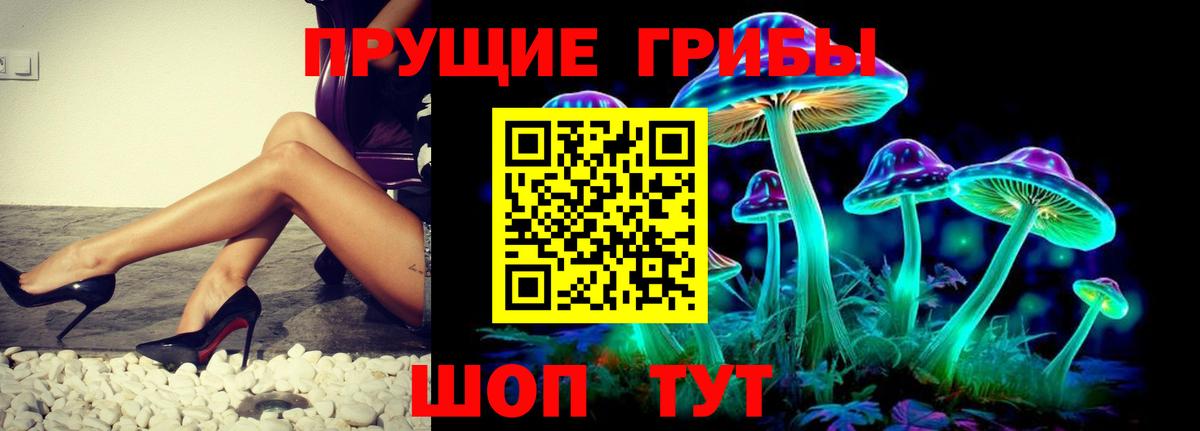 Псилоцибиновые грибы Magic Shrooms Кудрово