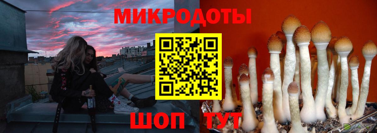 Галлюциногенные грибы GOLDEN TEACHER  Вход с VPN  Кудрово 